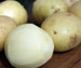 Kartoffelmos opskrift