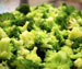 Kylling broccoli gryderet