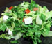 Græsk salat opskrift