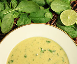 Indisk slow-cooker suppe med spinat opskrift